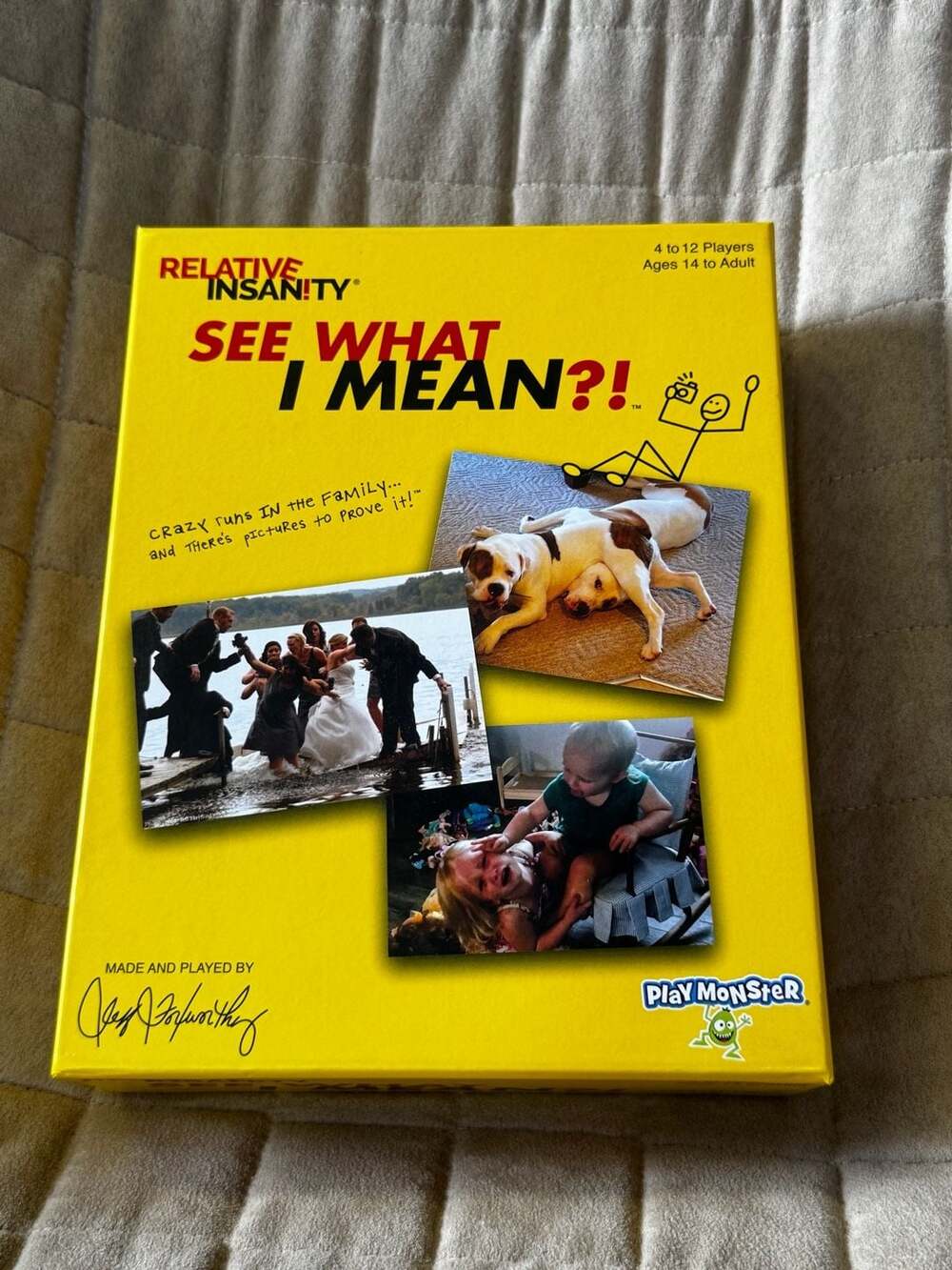 PlayMonster Relative Insanity: See What I Mean?! Party Game